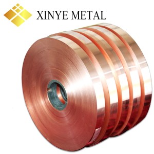 Earthing Copper Strip C1100